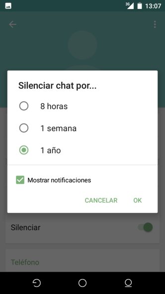 Nueva version Whatsapp 04(1)