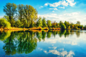 Smileus_Shutterstock