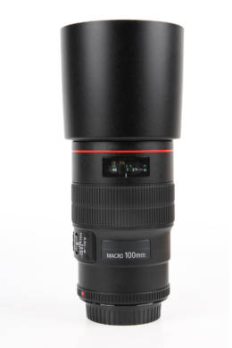 Chungking_Shutterstock