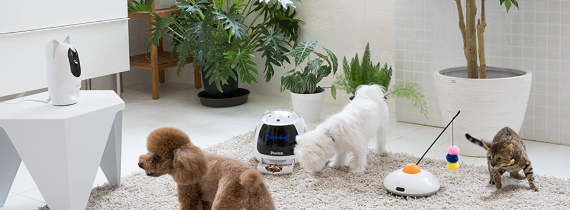 Acer anuncia tres nuevos productos Pawbo para mascotas